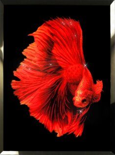 Картина с кристаллами Swarovski  "Красная рыба"